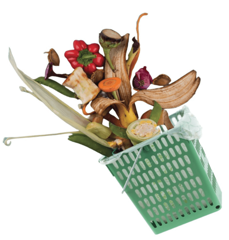 BIOWASTE 2024